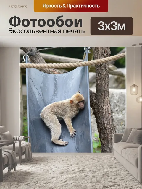 Фотообои Воды обезьяны 1