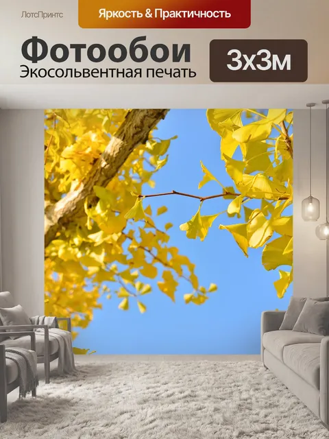 Фотообои Дерево гинкго