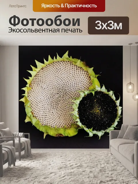 Фотообои Белого подсолнуха