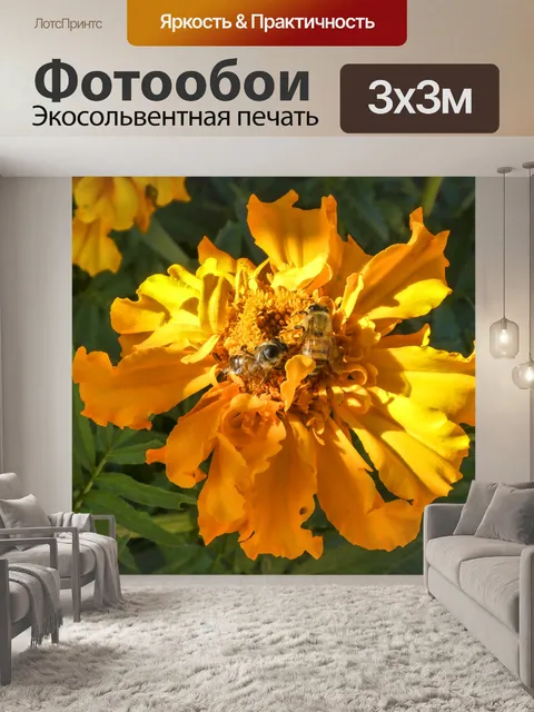 Фотообои Медовые пчелы на цветках