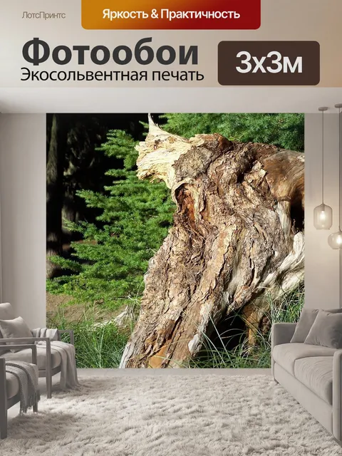 Фотообои Пень
