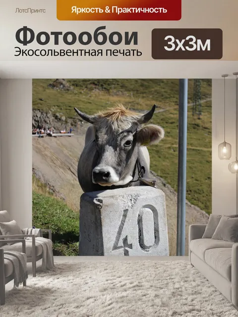 Фотообои Корова