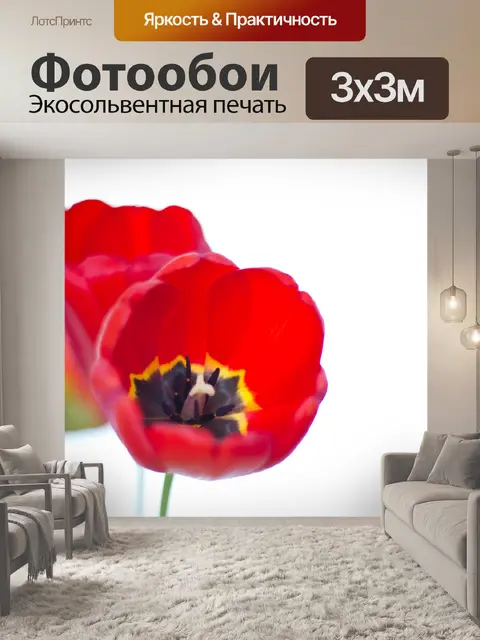 Фотообои Красные тюльпаны