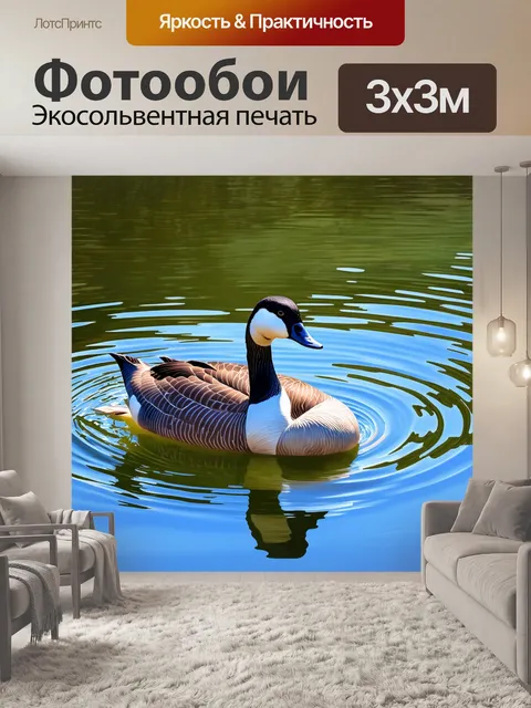 Фотообои водоплавающий гусь медитирует на берегу пруда