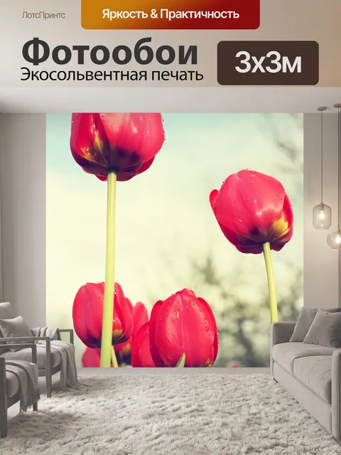 Фотообои Красные тюльпаны