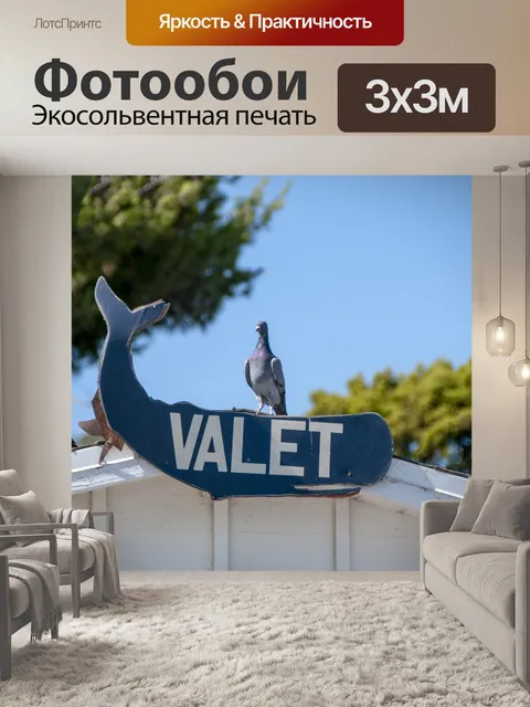 Фотообои Смешной знак голубя-валета