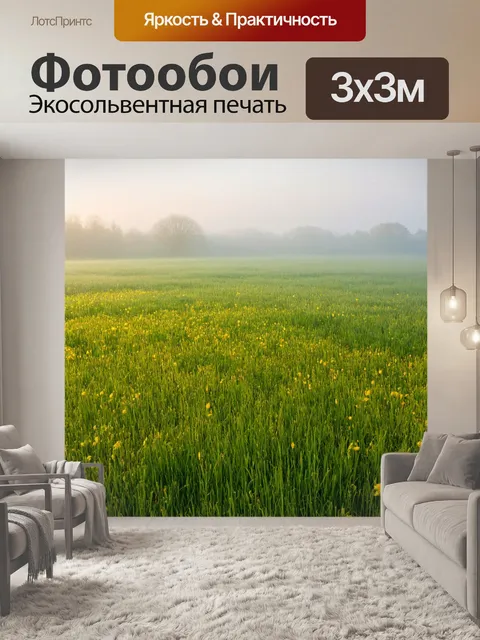 Фотообои поляна, покрытая утренним туманом