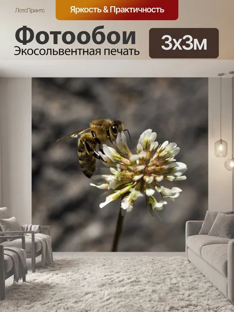 Фотообои Пчела