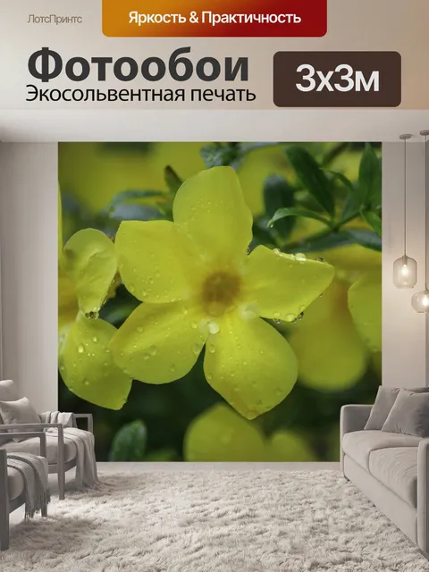 Фотообои Сезон дождей