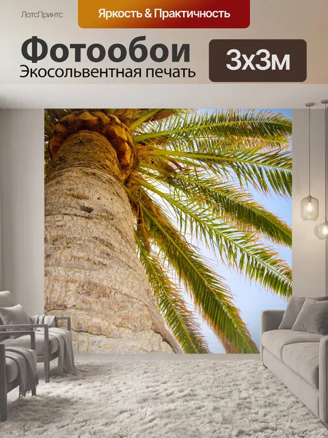 Фотообои Пальма с неба