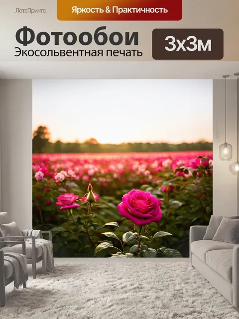 Фотообои утро, поля цветущих роз, где утренний свет накрывает каждую деталь, создавая атмосферу романтики