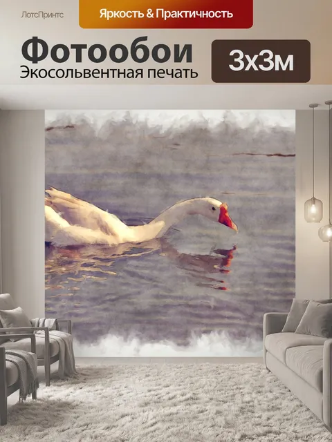 Фотообои плавание лебедя