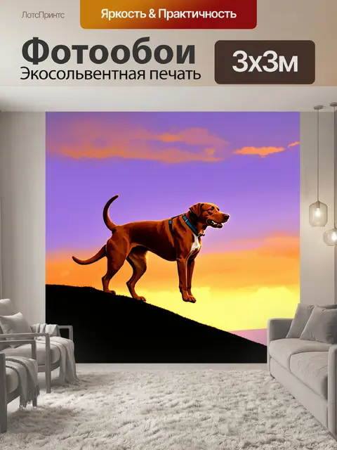 Фотообои коричневый лабрадор-ретривер