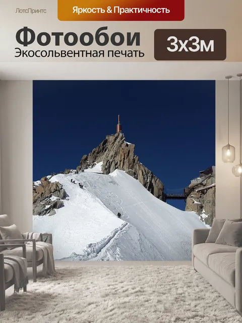 Фотообои Эгюий дю миди