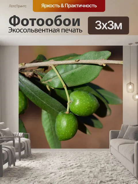 Фотообои Ветка оливы