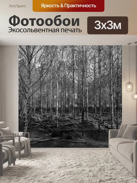 Фотообои Лес