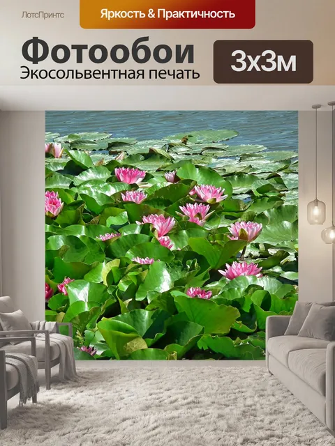 Фотообои Водяные лилии
