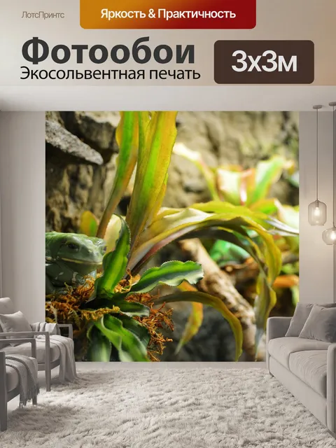 Фотообои Лягушка
