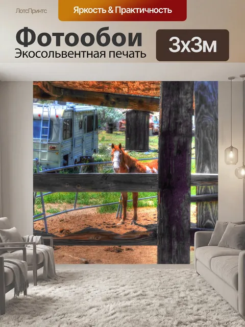 Фотообои Коричневая и белая лошадь