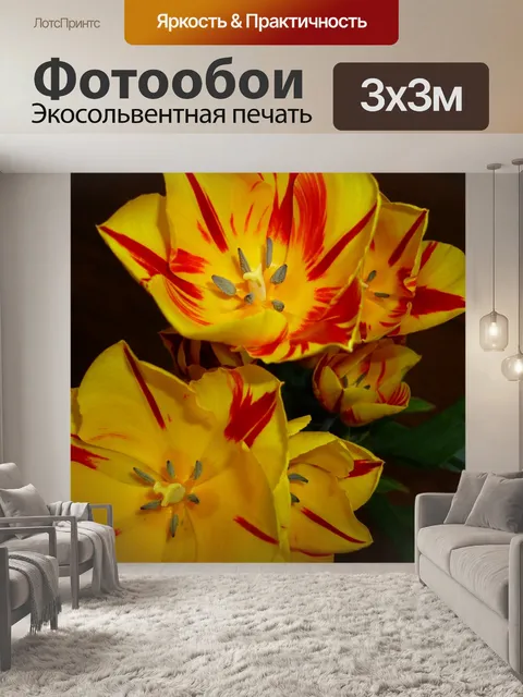 Фотообои Цветок