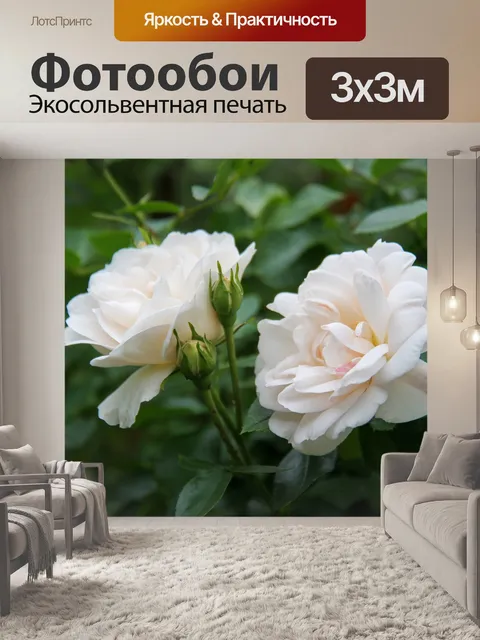 Фотообои Розовый