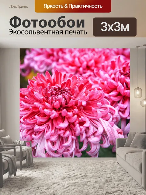 Фотообои Цветочный садик