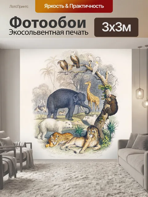 Фотообои Доска