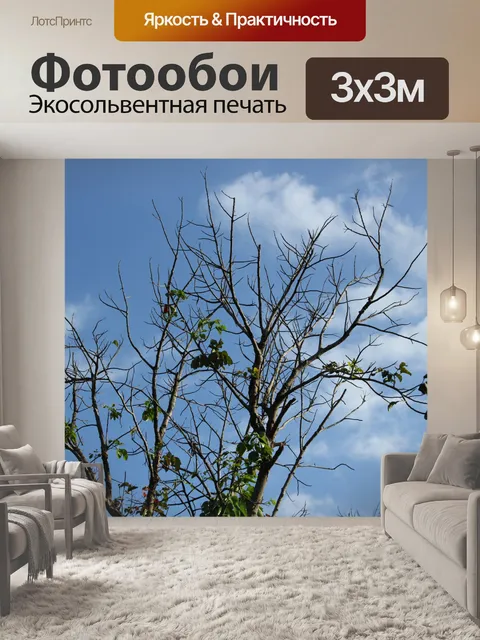 Фотообои стволов деревьев