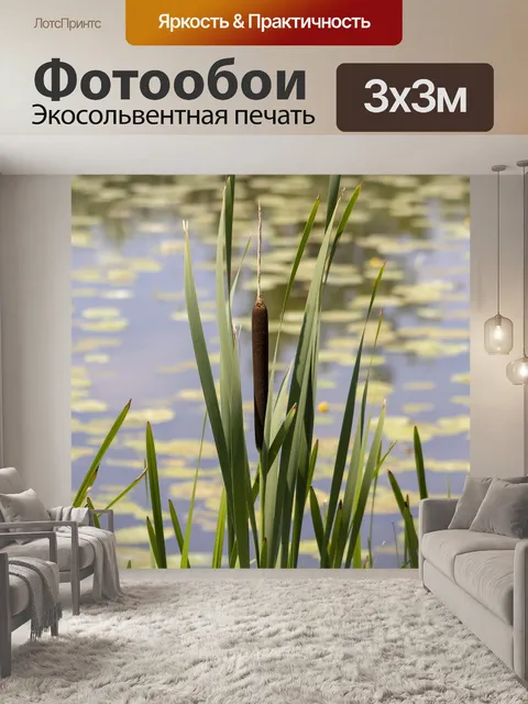 Фотообои Уайлдфлауэр