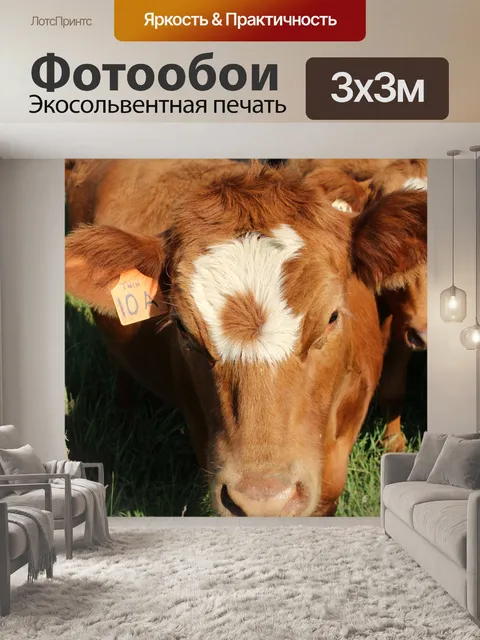 Фотообои Стадо коров выгона