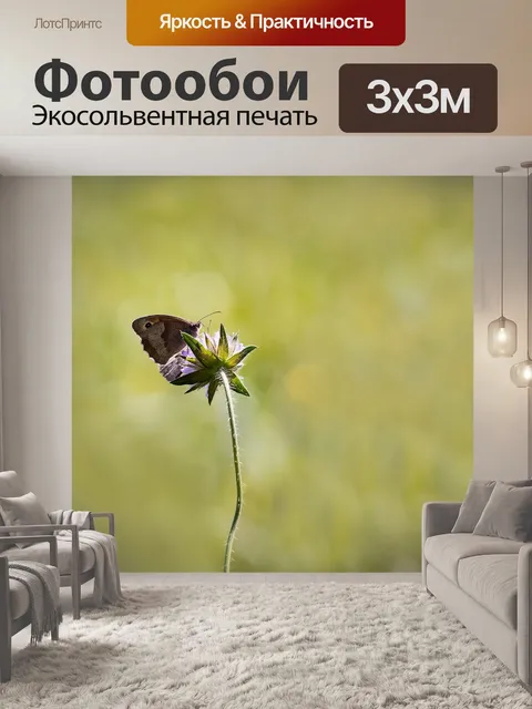 Фотообои Большой бычий глаз