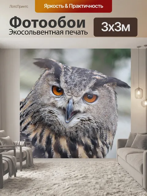 Фотообои Филин