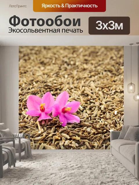 Фотообои Орхид