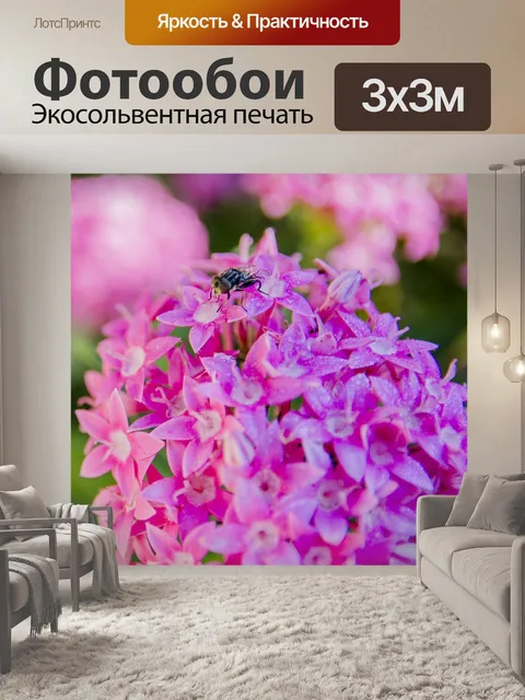 Фотообои Летать