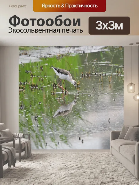 Фотообои Вод