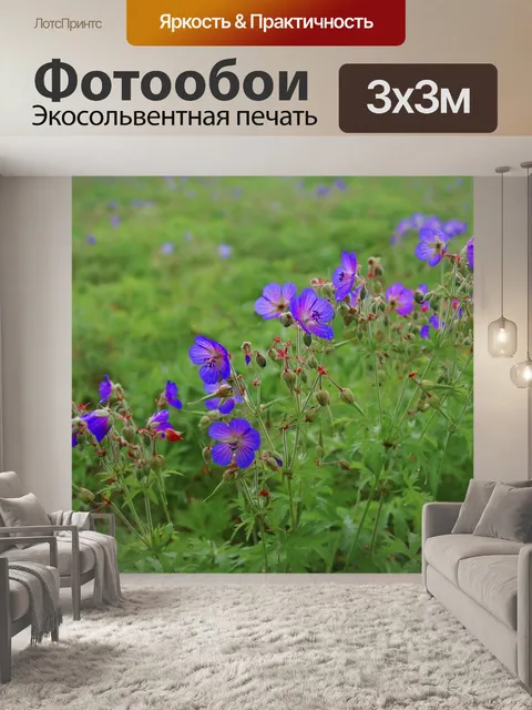 Фотообои Cranesbill цветок герани цветок