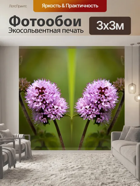 Фотообои Фон, водяная мята, цветы