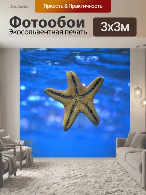 Фотообои Морская звезда