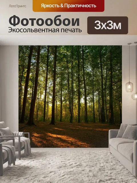 фотообои лес в стиле минимализм с густыми деревьями и тонкими стволами