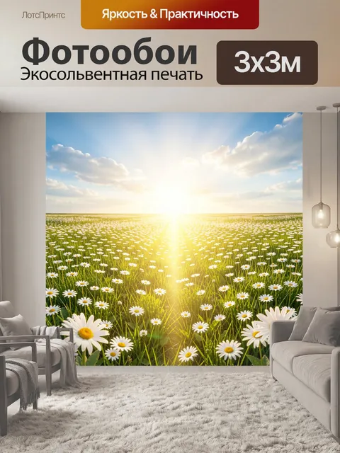 Фотообои Ромашковое поле под солнцем