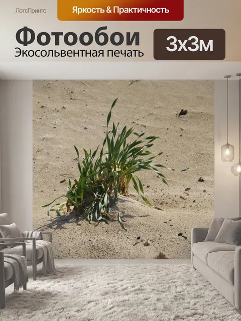 Фотообои Одно растение на пляже