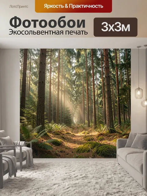 Фотообои Солнечный хвойный лес