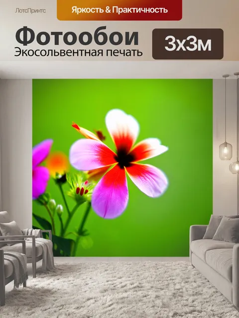 Фотообои цветы в стиле боке, экзотические цветы с яркими красками на фоне мягкого зеленого тона