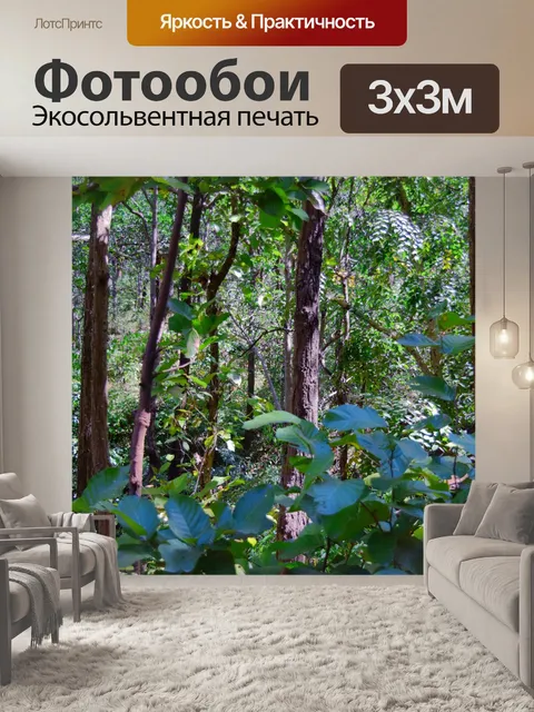 Фотообои Деревья и лес 14