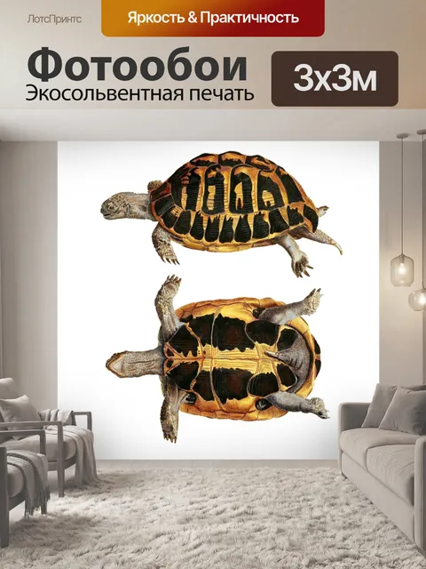 Фотообои Винтаж искусство черепахи клипарт