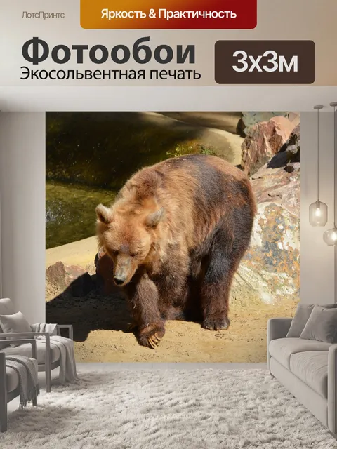 Фотообои Бурый медведь