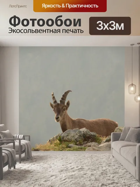 Фотообои Замша