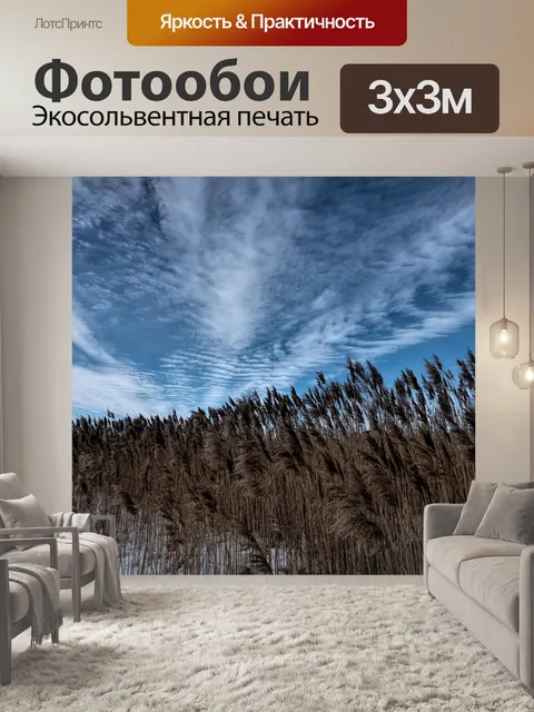 Фотообои Небо