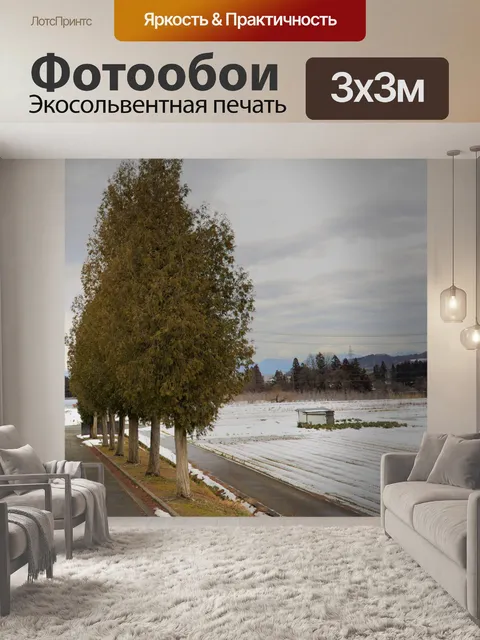 Фотообои Деревья