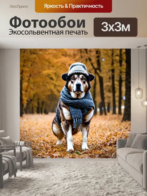 Фотообои овчарка, одевающаяся на холодную погоду, с шапкой и шарфом, готовая к прогулке